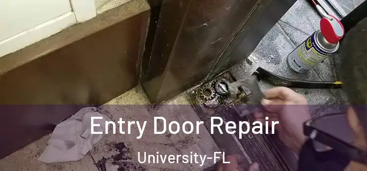  Entry Door Repair University-FL