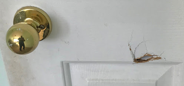 interior door hole repair University