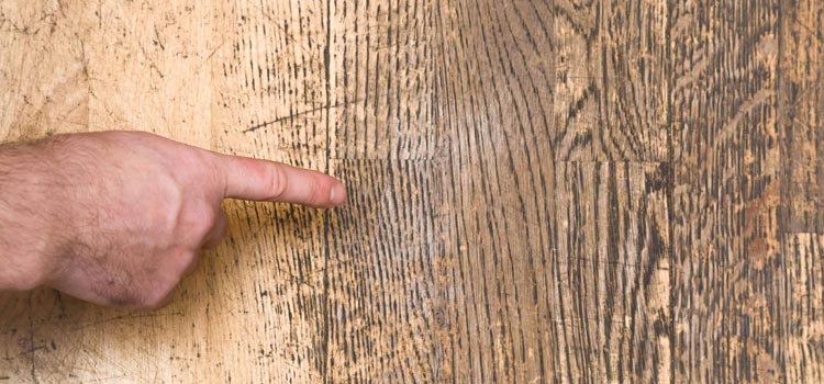Wood Door Scratch Repair in University