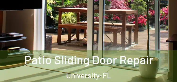  Patio Sliding Door Repair University-FL