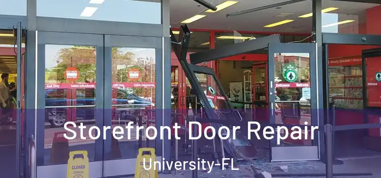  Storefront Door Repair University-FL
